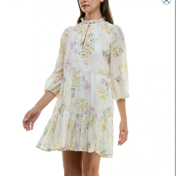 NWT Taylor Ruffle Hem Smock Dress Size XS - Picture 4 of 13